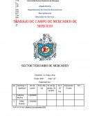 Mercadeo de Servicio Trabajo de Campo de Mercadeo de Servicio