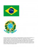El idioma oficial de Brasil es el Portugues