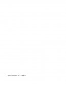 Excavacion de zanjas