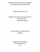 Actividad de Derecho constitucional colombiano