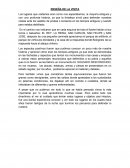 RESEÑA DE LA VISITA