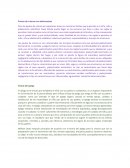 Pauta de crianza