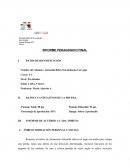 Informe psicopedagogico final