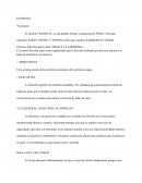 LA FILOSOFIA. GUSTO POR LO COMPLEJO