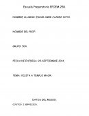 VISITA A TEMPLO MAOR