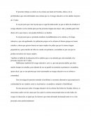 Proyecto de la educacion de los adultos