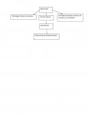 Teorías criminológicas Unidad 1 actividad 1