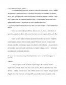 Contaminación del suelo Orgánica Inorgánica