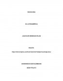 SOCIOLOGIA G2 LATINOAMERICA