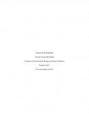 Inspeccion de seguridad. Técnicas en Prevención de Riesgos en Sector Productivo