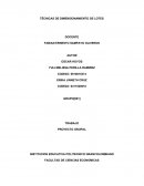 Técnicas lotes