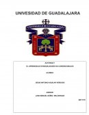 EL APRENDIZAJE EN MODALIDADES NO CONVENCIONALES