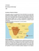 La suricata, Ecosistema: Desierto de Kalahari