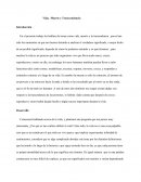 Vida, Muerte y Transcendencia