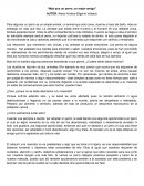 Mas que un perro, un amigo