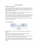 Comportamiento Organizacional: Funciones de la comunicación