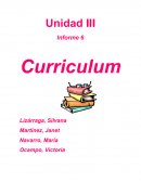 Unidad III Informe 6 Curriculum