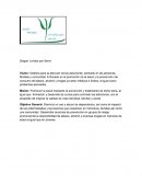 Analisis de empresa de servicios