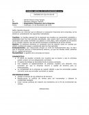 INFORME MINERA ANDINA DE EXPLORACIONES S.A.A