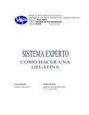 Sistema experto, que permita preservar el conocimiento de un experto humano para la preparación de una gelatina