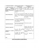 AUTO EVALUACIÓN DE COMPETENCIAS.