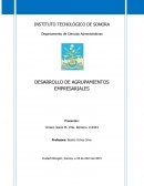 DESARROLLO DE AGRUPAMIENTOS EMPRESARIALES: CASO GOOGLE