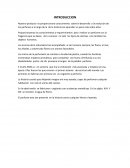 Proyecto de mercadotecnia perfume