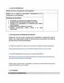 Las mejores Ayudas neurolinguistica