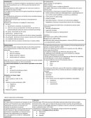 Las micobacterias pertenecen a la familia de las mycobacteriaceae y al orden Actinomycetale