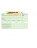 Escribe los nombres de tus compañeros de equipo en el recuadro de abajo