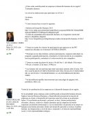 ¿Cómo están contribuyendo las empresas al desarrollo humano de mi región?