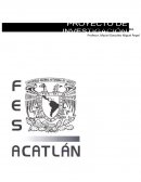 Las sustancias toxicas en la preparatoria.