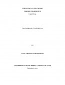 UNIVERSIDAD NACIONAL ABIERTA Y A DISTANCIA –UNAD