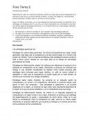 Estimado Sub-Gerente ¿en qué consisten esas estrategias genéricas?