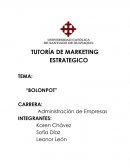 Marketing de un producto nuevo “BOLONPOT”