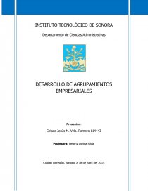 DESARROLLO DE AGRUPAMIENTOS EMPRESARIALES: CASO GOOGLE. Página 1