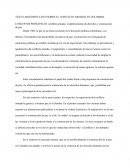 TEXTO ARGUMENTATIVO SOBRE EL CONFLICTO ARMADO EN COLOMBIA