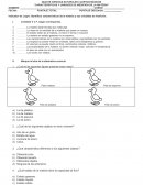 CARACTERÍSTICAS Y UNIDADES DE MEDICIÓN DE LA MATERIA