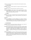 Teorias curriculares teoria ecologica