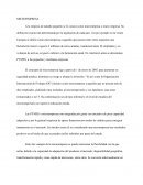 En que consiste la Microempresa