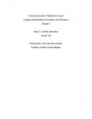 Crónica de la obra “Caballo de Troya”