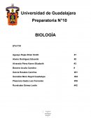 Preparatoria N°10 BIOLOGÍA
