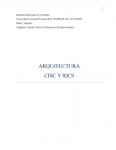Sistemas de Microprocesadores: Arquitectura Cisc y Risc
