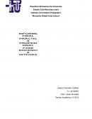 Actividades desarrollada durante la ejecución de la fase docencia integrada realizada en la U.E.TTE.