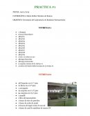 Inventario del Laboratorio de Botánica Farmacéutica