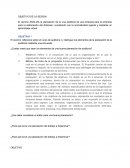 OBJETIVO DE LA SESION ¿Cuales crees que sean los elementos de una buena planeación de auditoría?