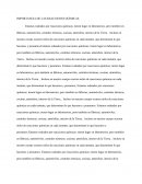 LA GRAN IMPORTANCIA DE LAS REACCIONES QUÍMICAS