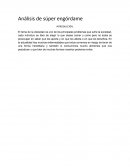 Análisis de súper engórdame