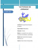 Observación de las clases de español