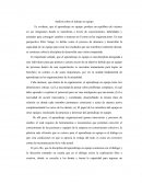 Análisis sobre el trabajo en equipo